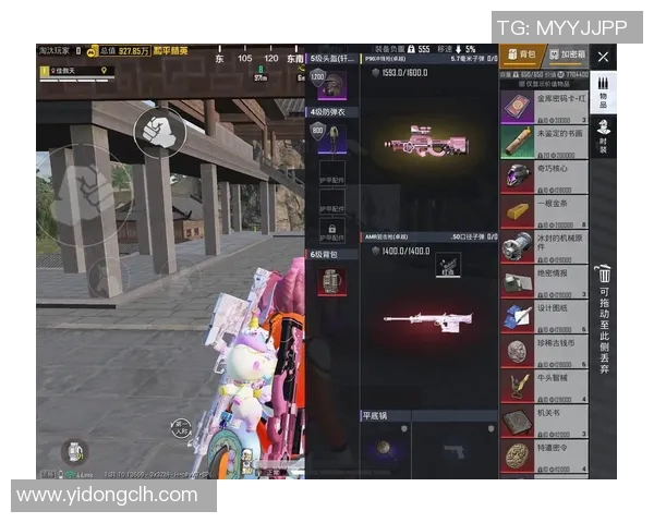 杨芳畅谈和平精英生涯与s15电竞总决赛的精彩瞬间与成长历程