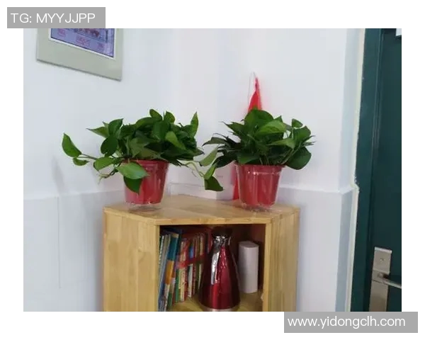 与周丽畅谈DOTA2职业生涯的点滴与挑战实时数据