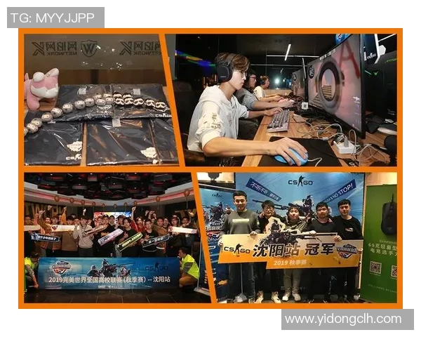 高校联赛特别报道LNG团队的拼搏历程与荣耀时刻分享